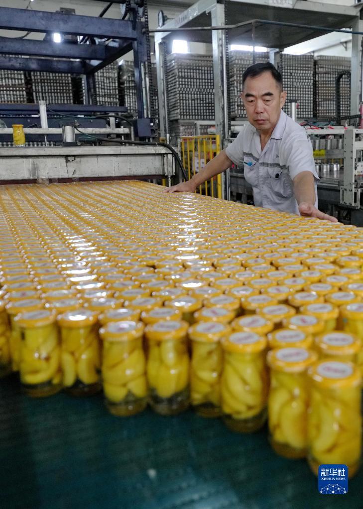 娱乐平台注册网址大全